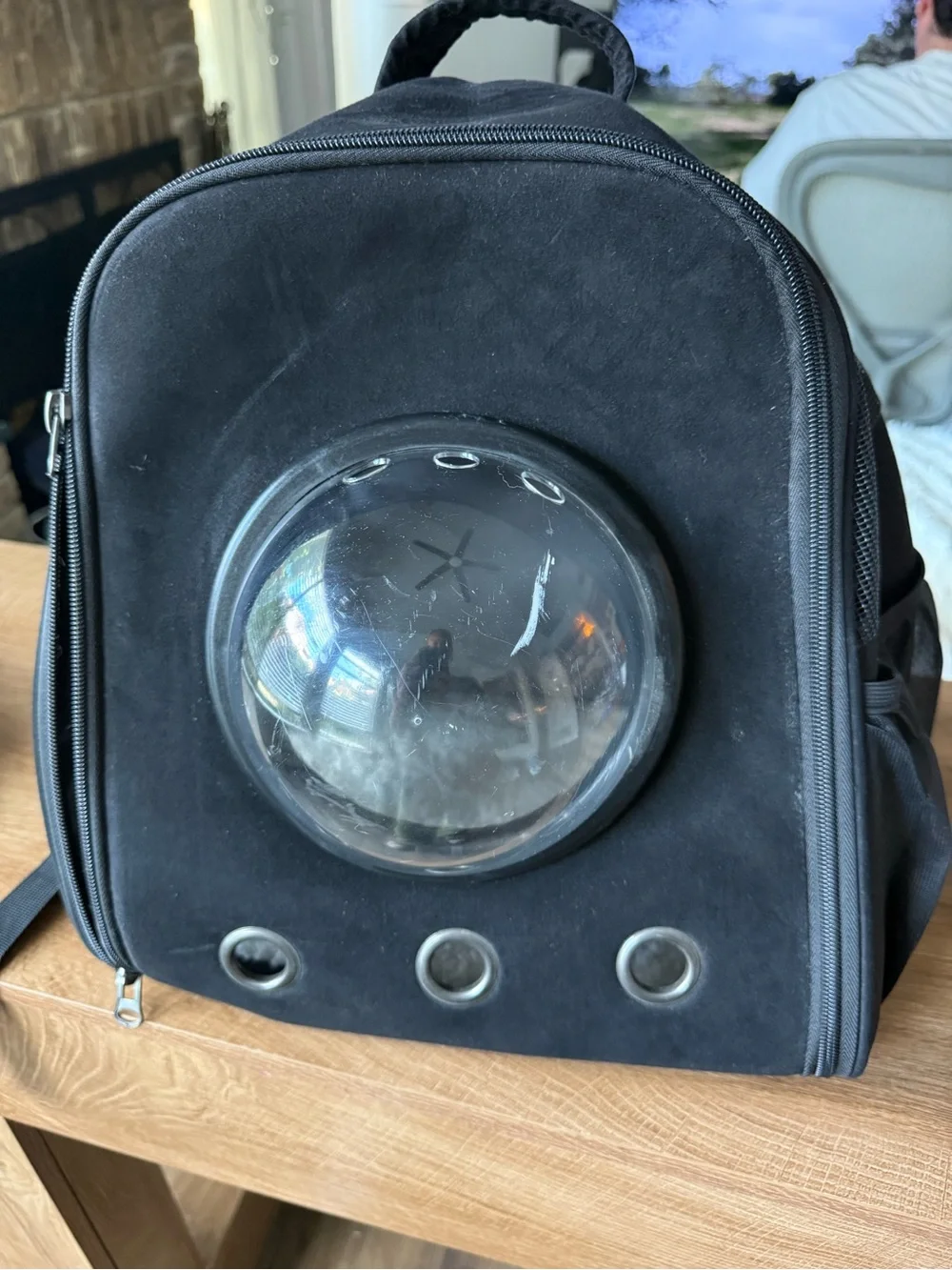 Bubble Window Pet Carrier Backpack in Black for small/medium kittens/cats new